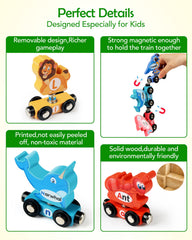 Vanmor color and alphabet cues support early recognition during play.