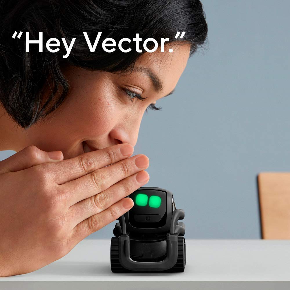 Vector captures on-demand photos to save memories.