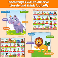 VIZIKN cards and clues boost observation during play.