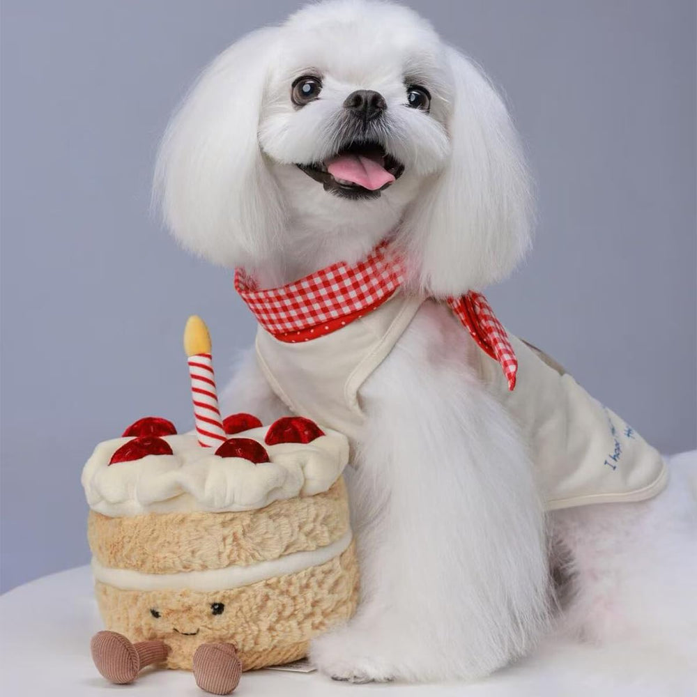 VLYUVUY birthday-cake-plush-care: easy care and quick recovery.