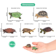 Volnau loggerhead turtle figure, colorful, safe toy for classroom storytelling.