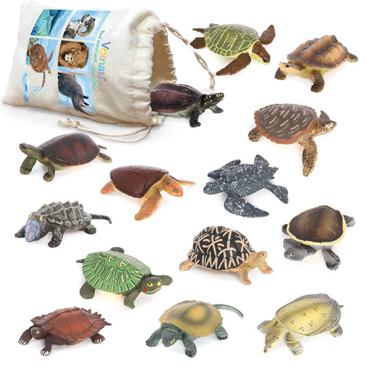 Volnau mini sea turtle figures pack cover, durable educational toys for curious preschoolers.