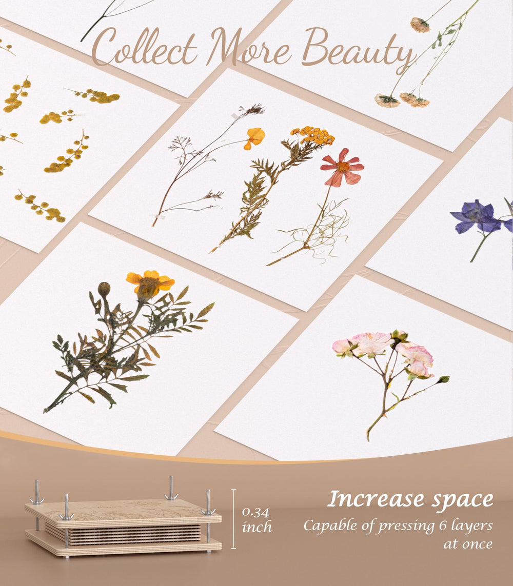 Wakhow flower press kit side view highlights sturdy basswood frame