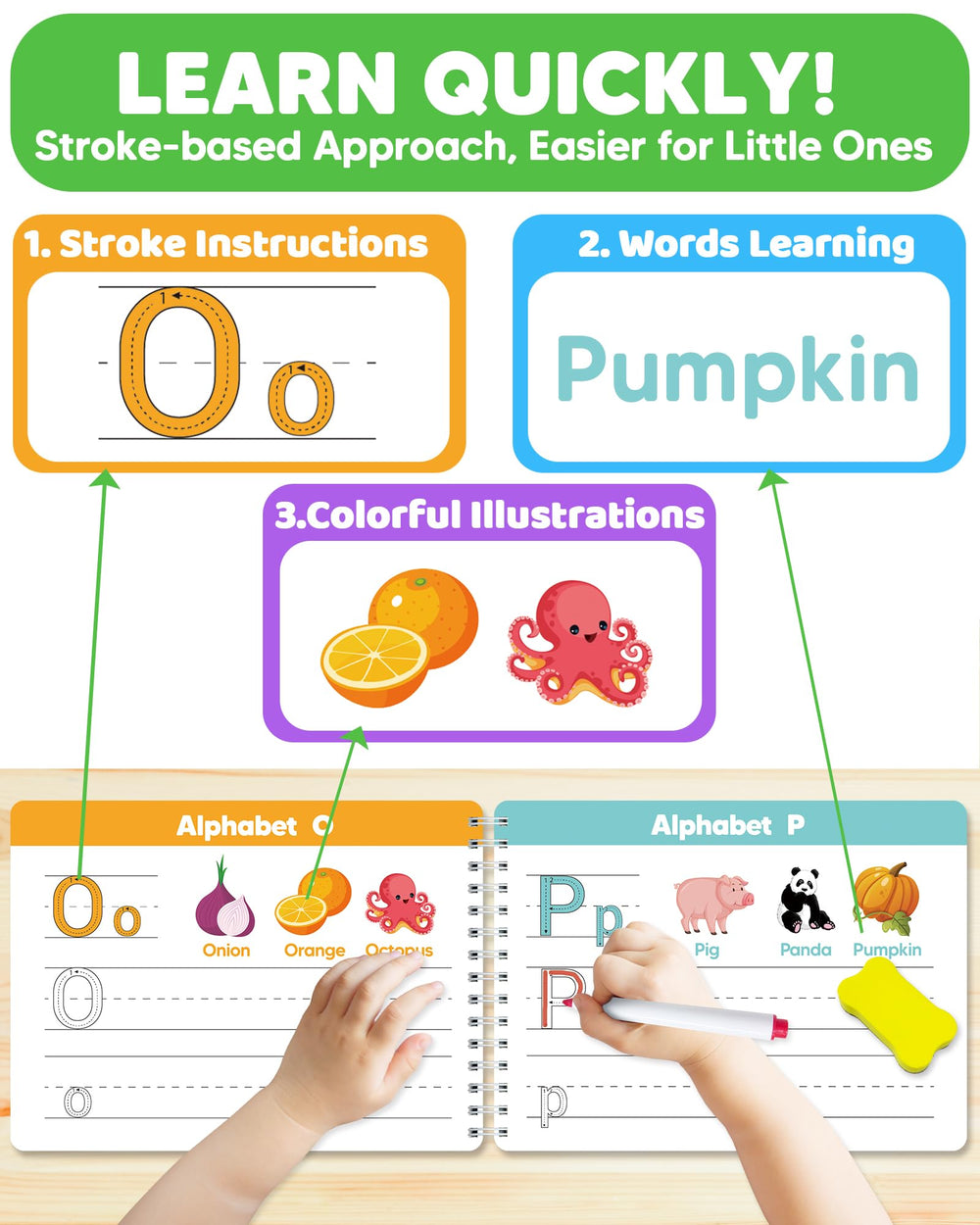 Walenty dry-erase markers and eraser enable unlimited practice and easy cleanup.