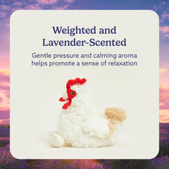 Warmies chicken plush in microwave ready for warmth session.