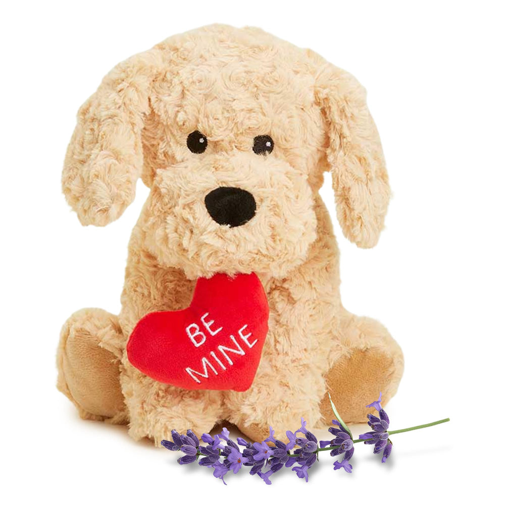 Warmies Dog Golden Be Mine face—soft plush for comforting hugs and warm sensations.