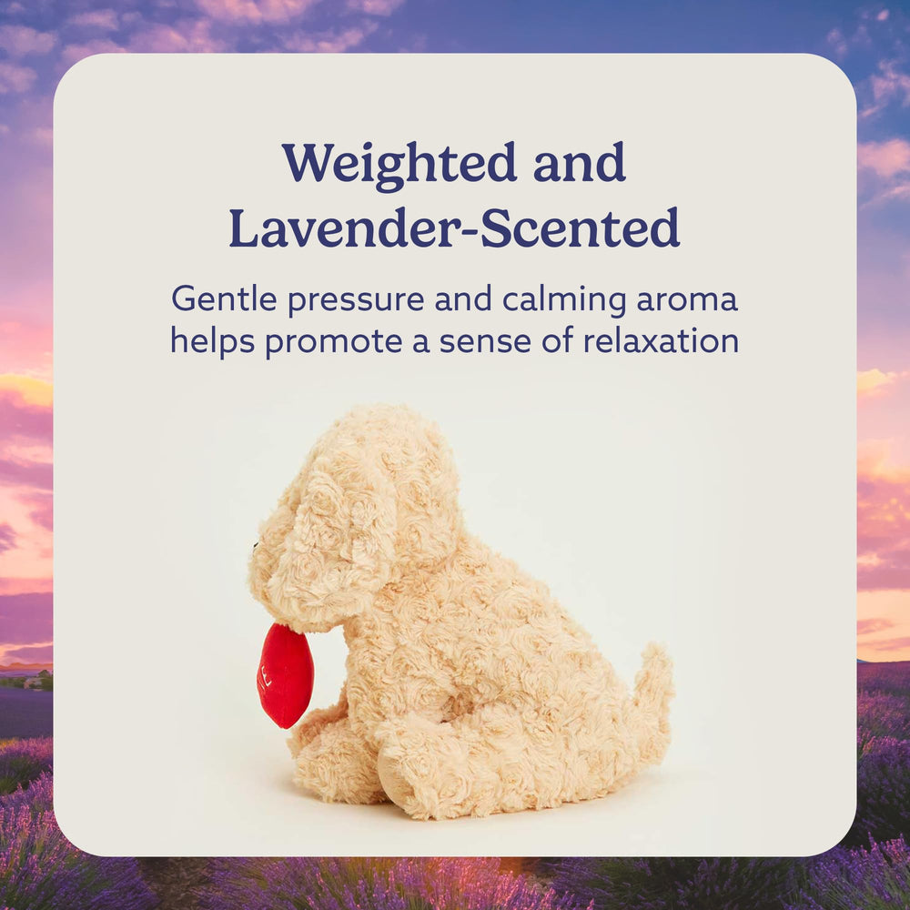 Warmies Dog Golden Be Mine microwave heat—quick comforting warmth for chilly evenings.