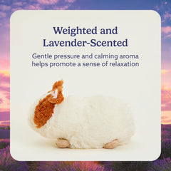 Warmies guinea pig plush measures 13 inches for comfortable snuggling.