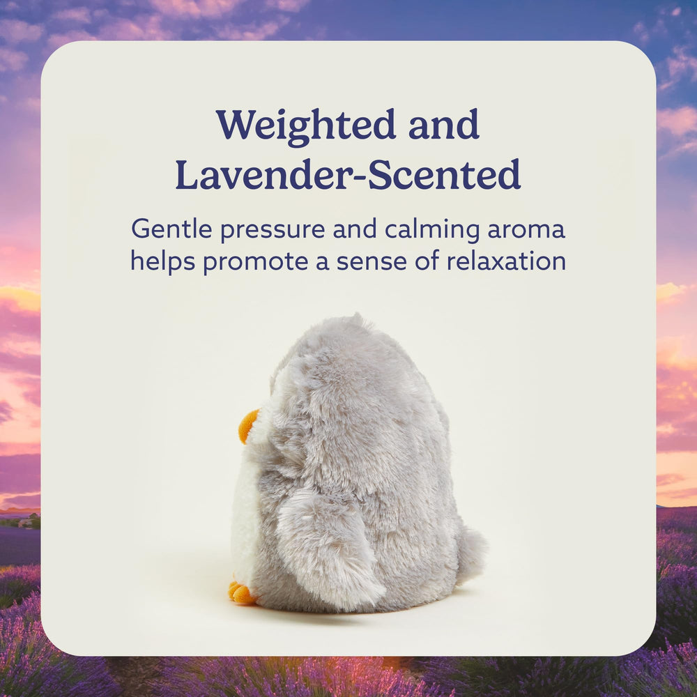Warmies Owl lavender-scented plush adds a gentle bedtime aroma.