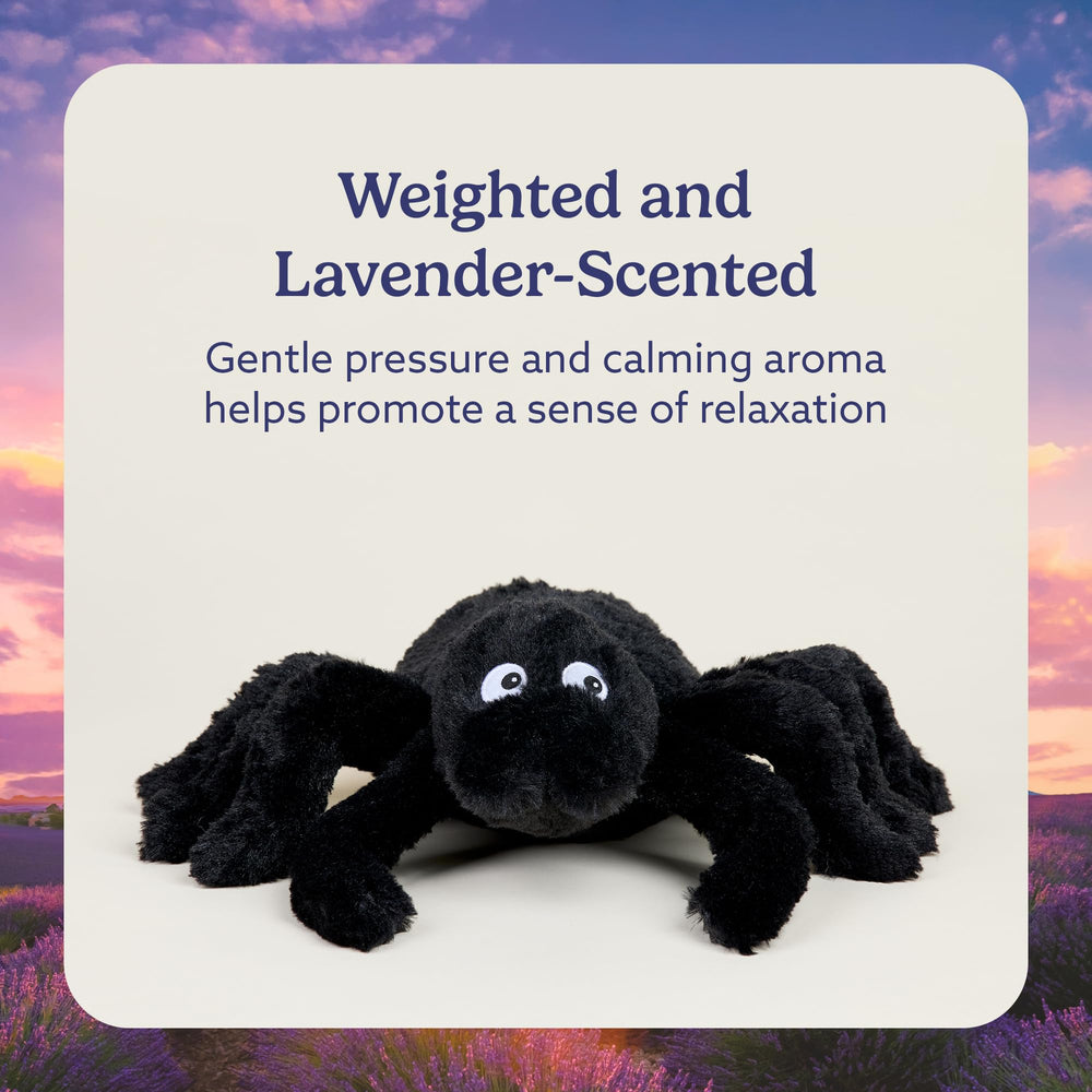Warmies Spider lavender-scented plush adds a gentle bedtime aroma.