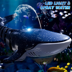 Watudou RC whale shark in water, controlled from the shore.