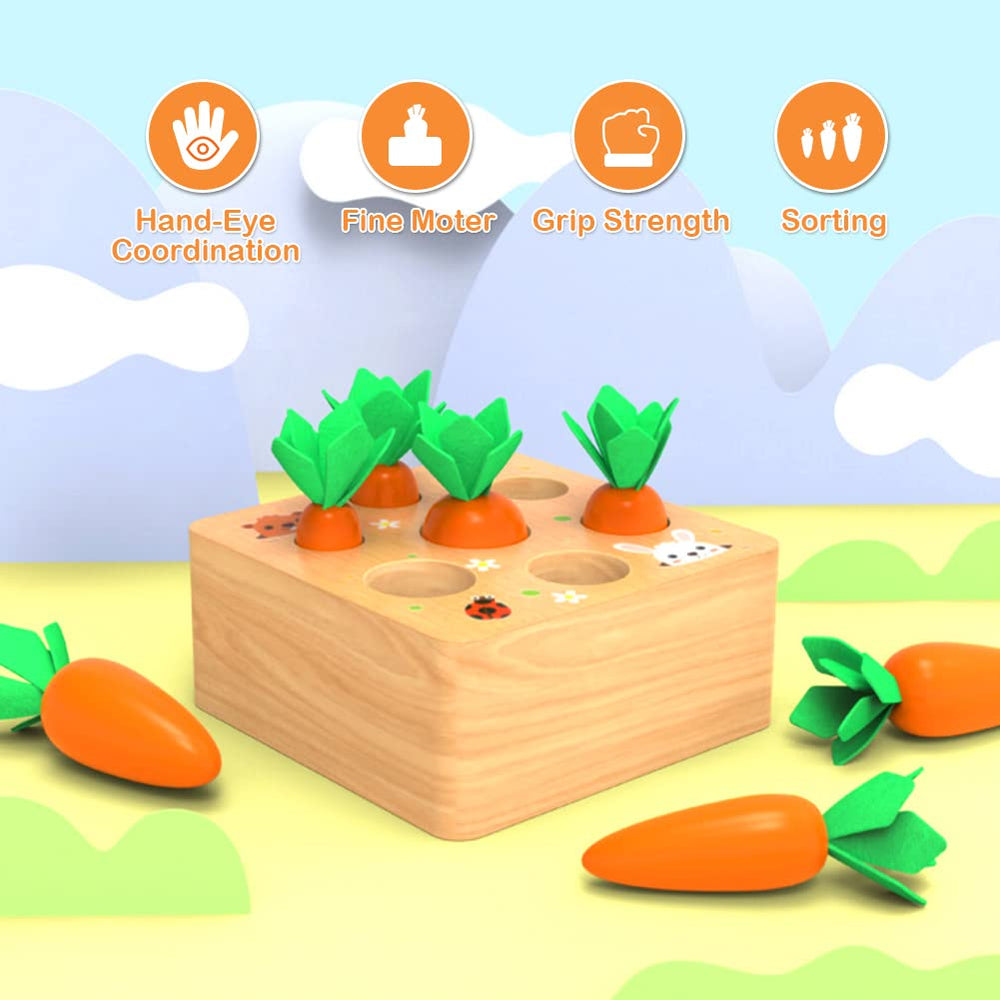 Wdmiya Montessoritoys wooden carrot pieces support fine motor development