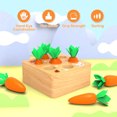 Wdmiya Montessoritoys wooden carrot pieces support fine motor development