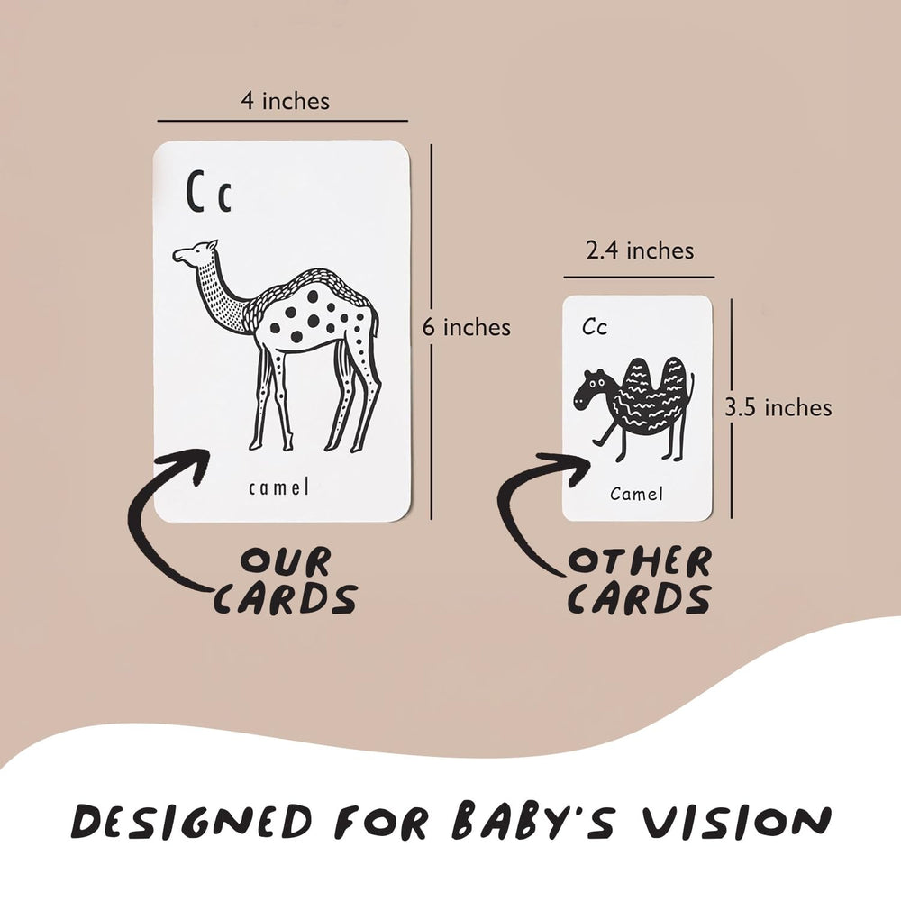 Wee Gallery durable matte-laminated cards are easy to clean during daily use