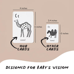 Wee Gallery durable matte-laminated cards are easy to clean during daily use