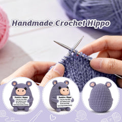 Weming hippo amigurumi with signature card ready to gift