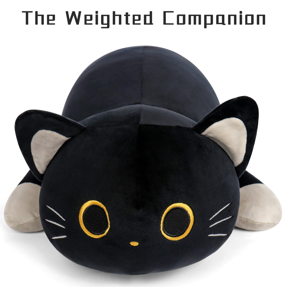 Wepop weighted cat toy blends decor with warmth for living rooms.