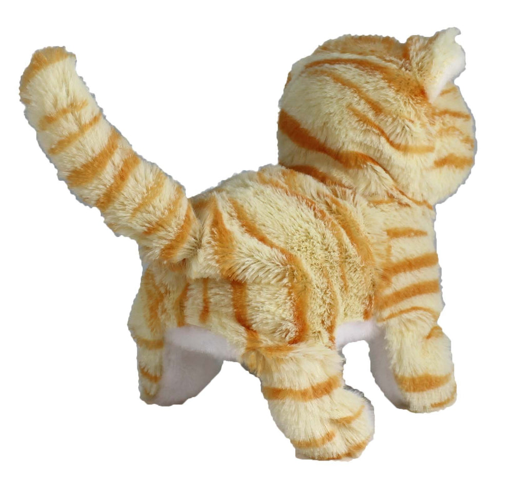 Westminster Casanova orange-striped kitten meows for storytelling