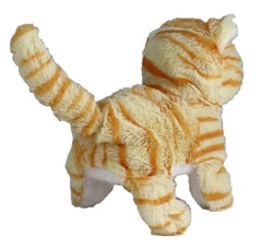 Westminster Casanova orange-striped kitten meows for storytelling