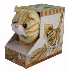 Westminster Casanova orange-striped kitten walking for imaginative play
