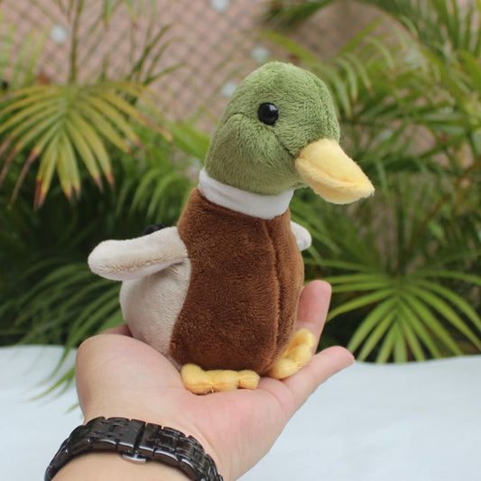 Whrigud Mallard Duck Plush serves as a cute photography prop.