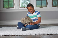 Cuddle-ready javelina plush by Wild Republic for kids and collectors.