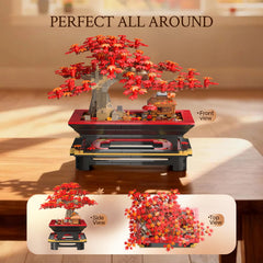WISE BLOCK home office display bonsai Seren showcases zen-inspired decor and mindful ambiance.