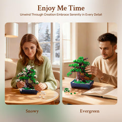 Wise Block two-seasons display showing evergreen and snowy options for seasonal decor.