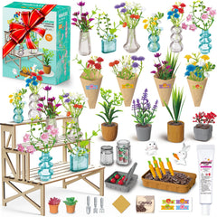 WishaLife miniature plants kit – lush potted displays for creative home crafts.