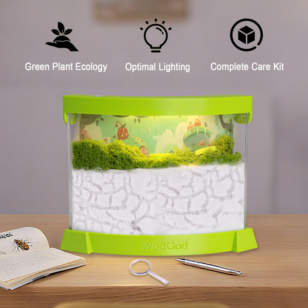 WodGod magnifier enables close inspection of ants and tunnel details