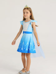 WonderBabe princess costume with fluffy sleeves for 3-4T girls.