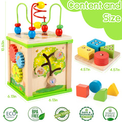 WOODMAM shape sorter supports color and shape recognition while sorting.