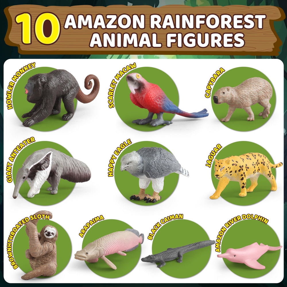 Wookidel diorama guidebook for rainforest learning activities