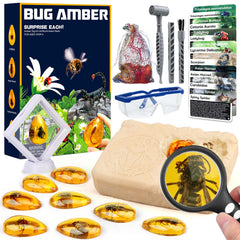 Woumserta Amber Dig Kit with 8 insect specimens ready for excavation adventure