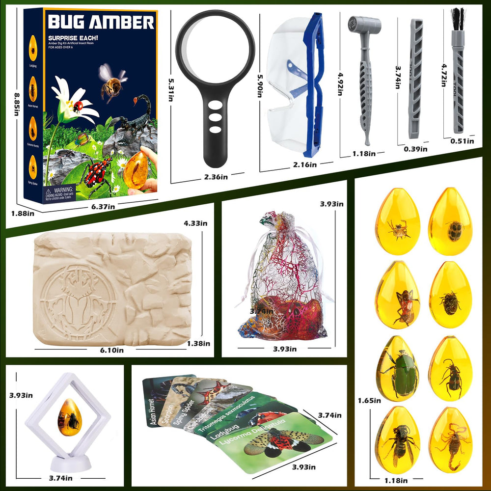 Insect study cards from the Woumserta Amber Dig Kit for learning and matching