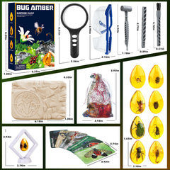 Insect study cards from the Woumserta Amber Dig Kit for learning and matching