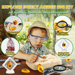 Woumserta Amber Dig Kit magnifier reveals tiny insect textures
