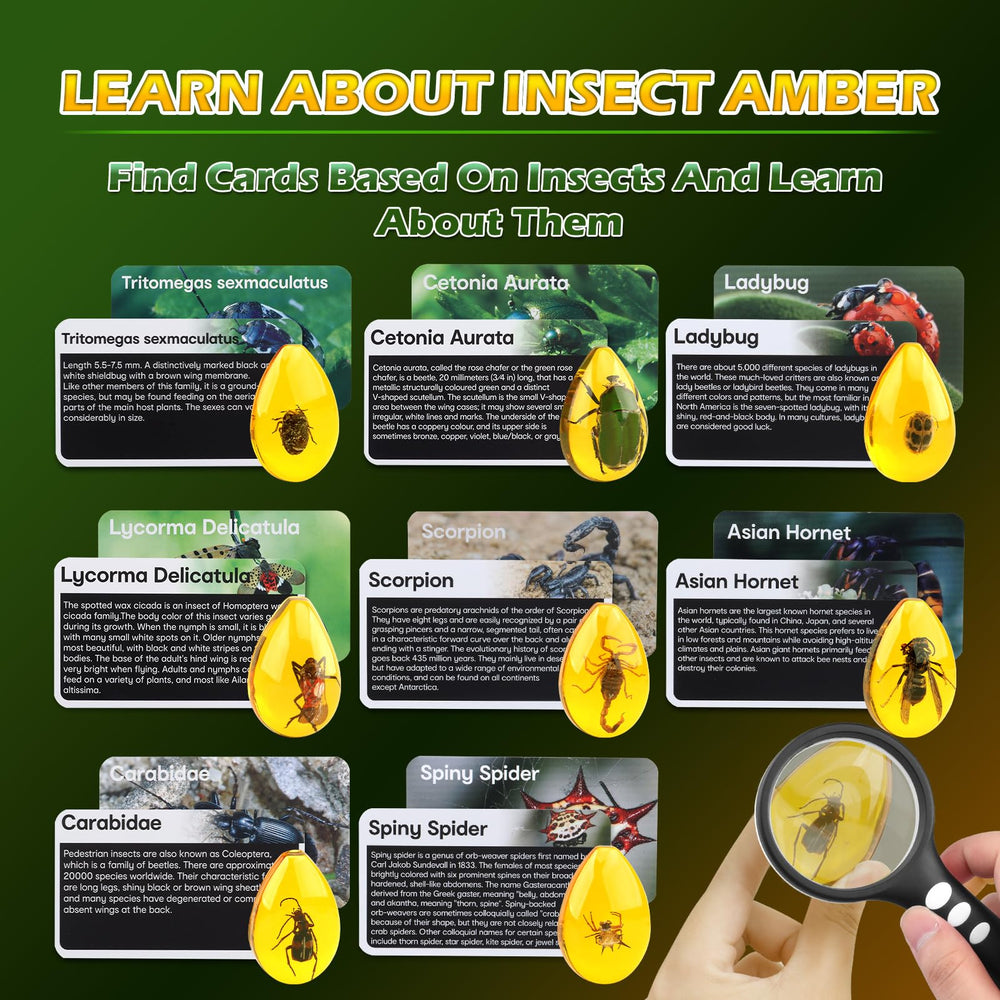Safety glasses included in the Woumserta Amber Dig Kit for safe exploration