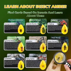 Safety glasses included in the Woumserta Amber Dig Kit for safe exploration