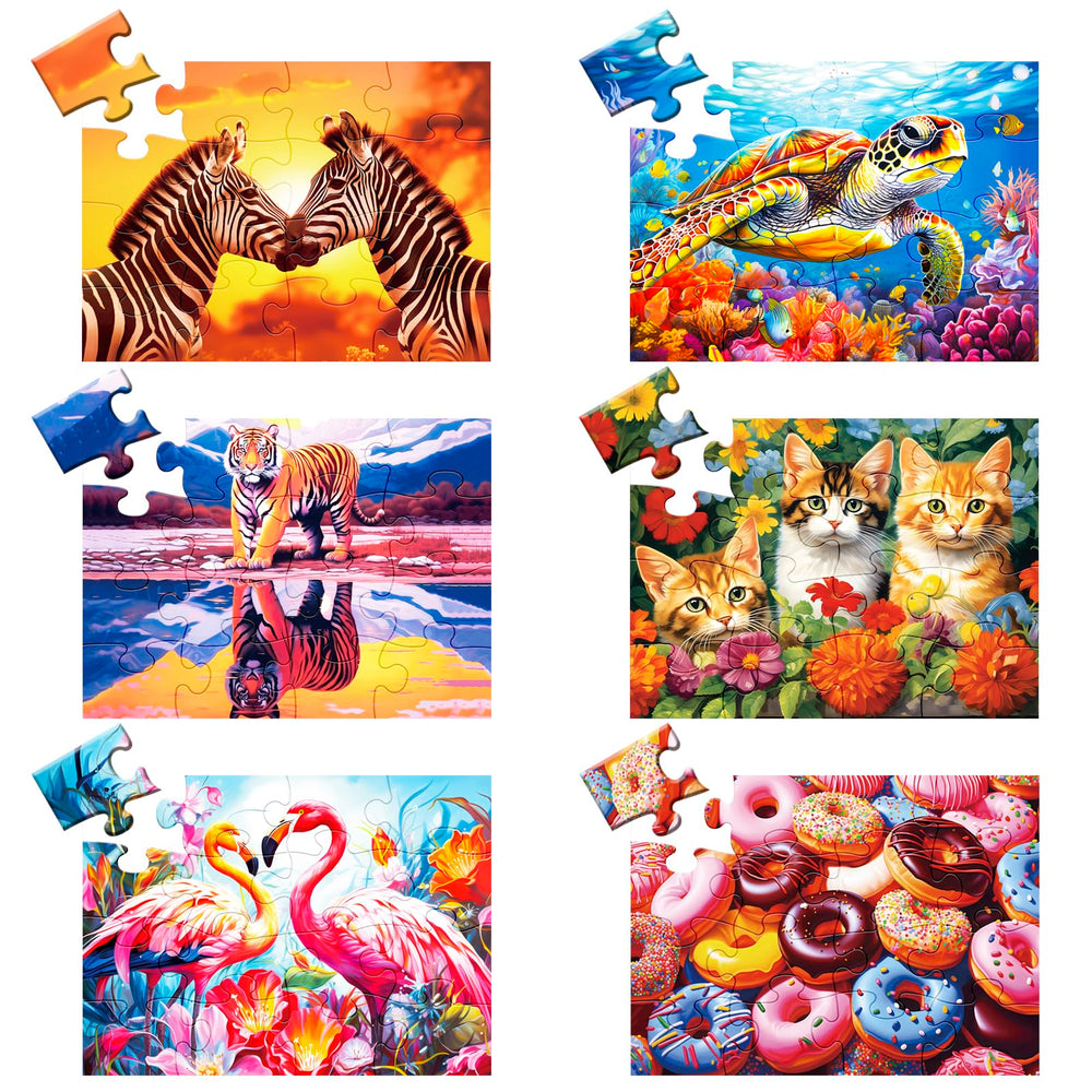 WSCXSC 6-pack large-piece puzzles for easy, engaging senior activity