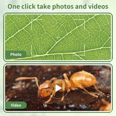 MicroSD storage expands memory for experiments and long-term portfolios.