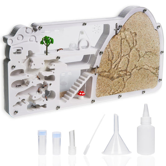 Wtsyant Ant Farm Castle provides a large viewing area for live ant observation.