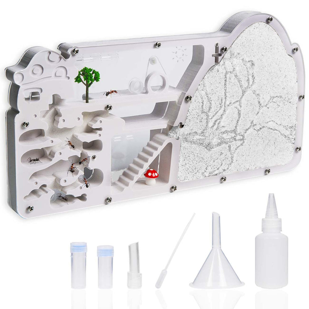 Wtsyant Ant Farm Castle with a large viewing area for clear colony observation.