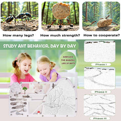 Wtsyant Ant Farm Castle shows a sand habitat for authentic digging activity.