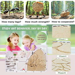 Wtsyant sand habitat included supports natural digging and tunnel exploration.