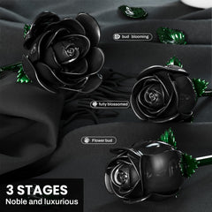 XGSHJ Black Rose Bouquet home decor display in a modern setting
