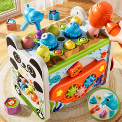 XINNOVEL number time cognition activity supports early counting skills