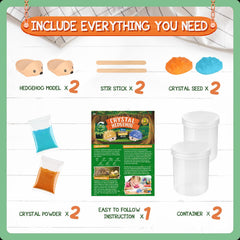 XX Crystal Growing Kit seed rocks ready to start growth