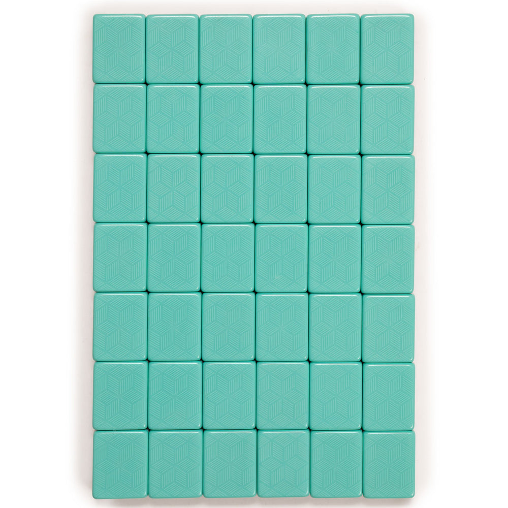 Padded nylon travel case with tile and rack pockets