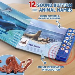 Great white shark and other sea creatures by Yeonha Toys for sensory play.
